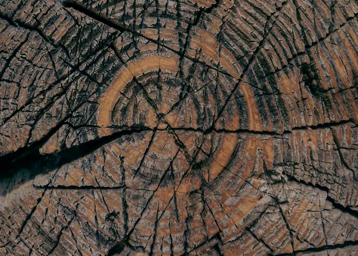 Stangllehen Huette Casa de Férias